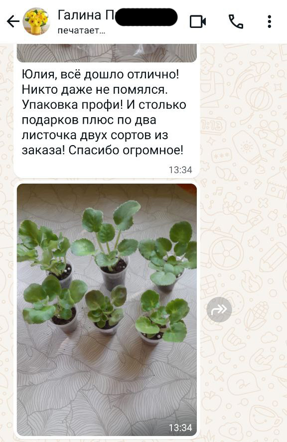 Отзыв покупателя